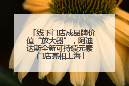 线下门店成品牌价值“放大器”，阿迪达斯全新可持续元素门店亮相上海