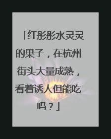 红彤彤水灵灵的果子，在杭州街头大量成熟，看着诱人但能吃吗？