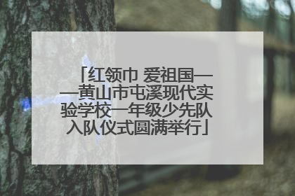 红领巾 爱祖国——黄山市屯溪现代实验学校一年级少先队入队仪式圆满举行