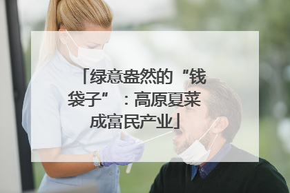 绿意盎然的“钱袋子”：高原夏菜成富民产业