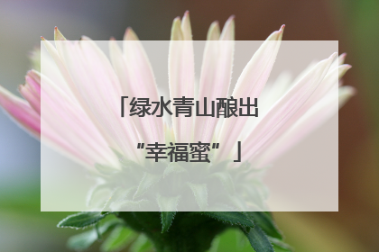 绿水青山酿出“幸福蜜”