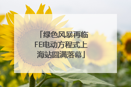 绿色风暴再临 FE电动方程式上海站圆满落幕