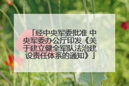 经中央军委批准 中央军委办公厅印发《关于建立健全军队法治建设责任体系的通知》