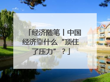 经济随笔丨中国经济靠什么“顶住了压力”？