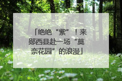 绝绝“紫”！来郧西县赴一场“莫奈花园”的浪漫