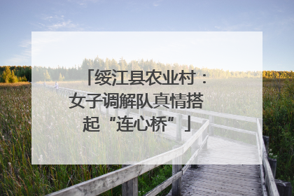 绥江县农业村：女子调解队真情搭起“连心桥”