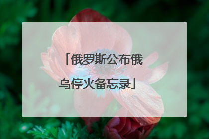 俄罗斯公布俄乌停火备忘录
