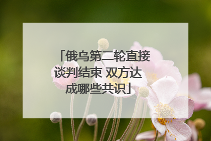 俄乌第二轮直接谈判结束 双方达成哪些共识