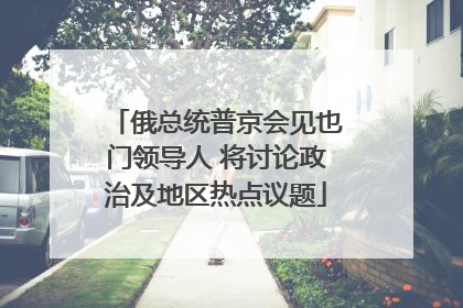 俄总统普京会见也门领导人 将讨论政治及地区热点议题