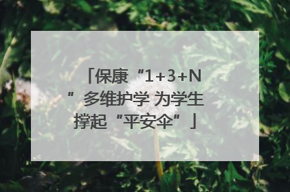 保康“1+3+N”多维护学 为学生撑起“平安伞”