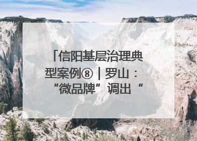 信阳基层治理典型案例⑧｜罗山：“微品牌”调出“大和谐”