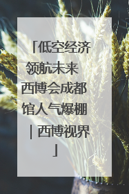 低空经济领航未来 西博会成都馆人气爆棚｜西博视界