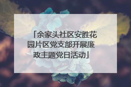 余家头社区安胜花园片区党支部开展廉政主题党日活动