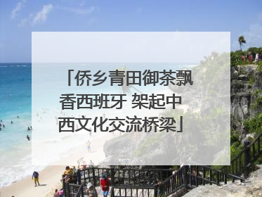 侨乡青田御茶飘香西班牙 架起中西文化交流桥梁