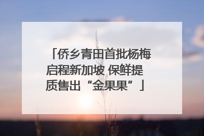 侨乡青田首批杨梅启程新加坡 保鲜提质售出“金果果”