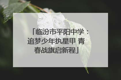 临汾市平阳中学：追梦少年执星甲 青春战旗启新程