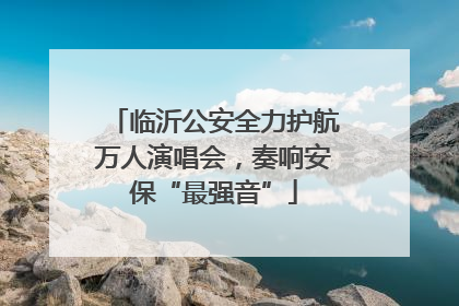 临沂公安全力护航万人演唱会，奏响安保“最强音”