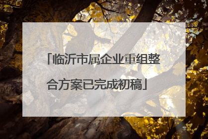 临沂市属企业重组整合方案已完成初稿