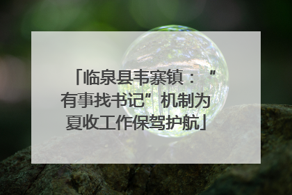 临泉县韦寨镇：“有事找书记”机制为夏收工作保驾护航
