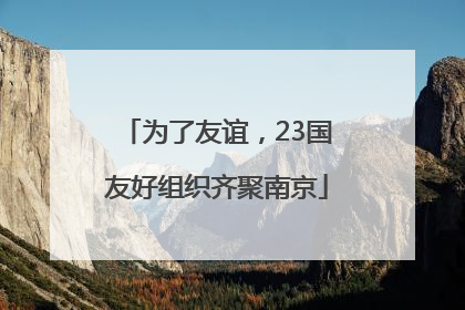 为了友谊，23国友好组织齐聚南京