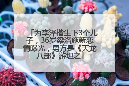 为李泽楷生下3个儿子，36岁梁洛施新恋情曝光，男方是《天龙八部》游坦之