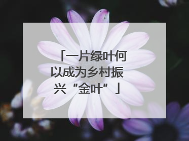 一片绿叶何以成为乡村振兴“金叶”