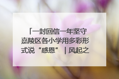 一封回信一年坚守 嘉陵区各小学用多彩形式说“感恩”｜风起之江 扶摇直上