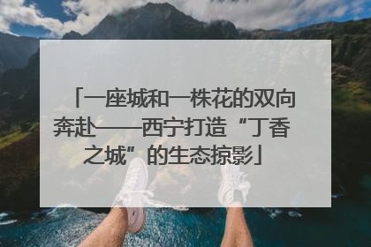 一座城和一株花的双向奔赴——西宁打造“丁香之城”的生态掠影