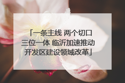 一条主线 两个切口 三位一体 临沂加速推动开发区建设领域改革