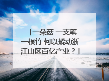 一朵菇 一支笔 一根竹 何以撬动浙江山区百亿产业？