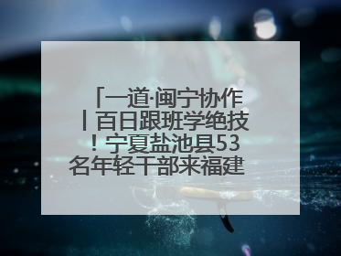 一道·闽宁协作丨百日跟班学绝技！宁夏盐池县53名年轻干部来福建取“真经”