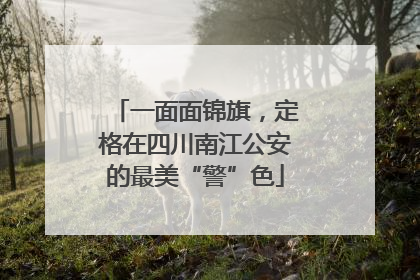 一面面锦旗，定格在四川南江公安的最美“警”色