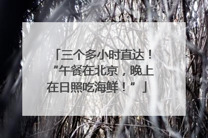 三个多小时直达！“午餐在北京，晚上在日照吃海鲜！”