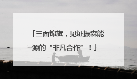 三面锦旗，见证振森能源的“非凡合作”！