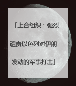 上合组织：强烈谴责以色列对伊朗发动的军事打击
