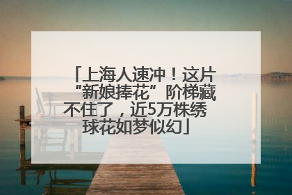 上海人速冲！这片“新娘捧花”阶梯藏不住了，近5万株绣球花如梦似幻
