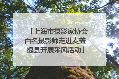 上海市摄影家协会百名摄影师走进麦盖提县开展采风活动