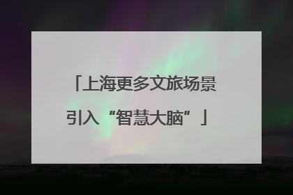 上海更多文旅场景引入“智慧大脑”