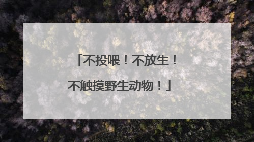 不投喂！不放生！不触摸野生动物！