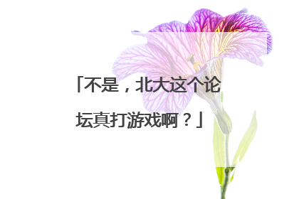 不是，北大这个论坛真打游戏啊？