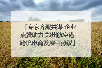 专家齐聚共谋 企业点赞助力 郑州航空港跨境电商发展引热议