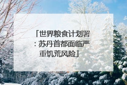 世界粮食计划署：苏丹首都面临严重饥荒风险