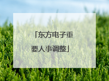东方电子重要人事调整
