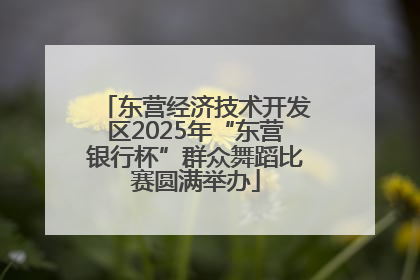 东营经济技术开发区2025年“东营银行杯”群众舞蹈比赛圆满举办