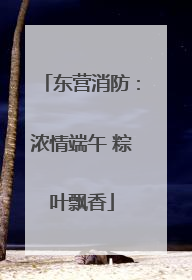 东营消防：浓情端午 粽叶飘香