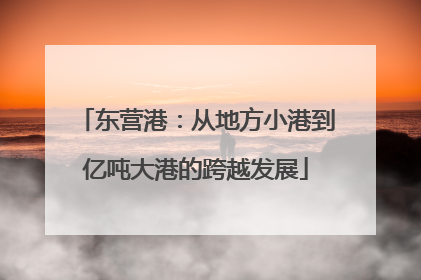 东营港：从地方小港到亿吨大港的跨越发展