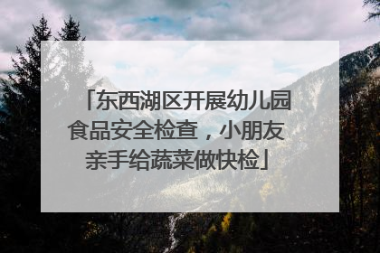 东西湖区开展幼儿园食品安全检查，小朋友亲手给蔬菜做快检