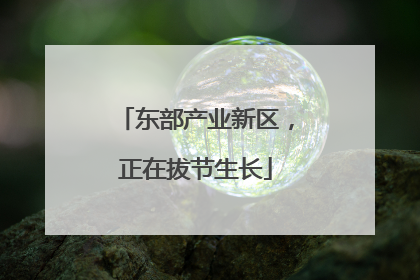 东部产业新区，正在拔节生长