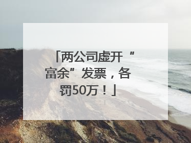 两公司虚开“富余”发票，各罚50万！