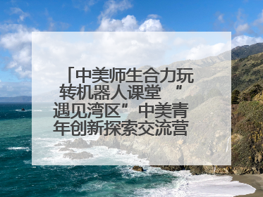 中美师生合力玩转机器人课堂 “遇见湾区”中美青年创新探索交流营在深圳开营